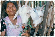Donate Money or Volunteer Time This Holiday Season Image
